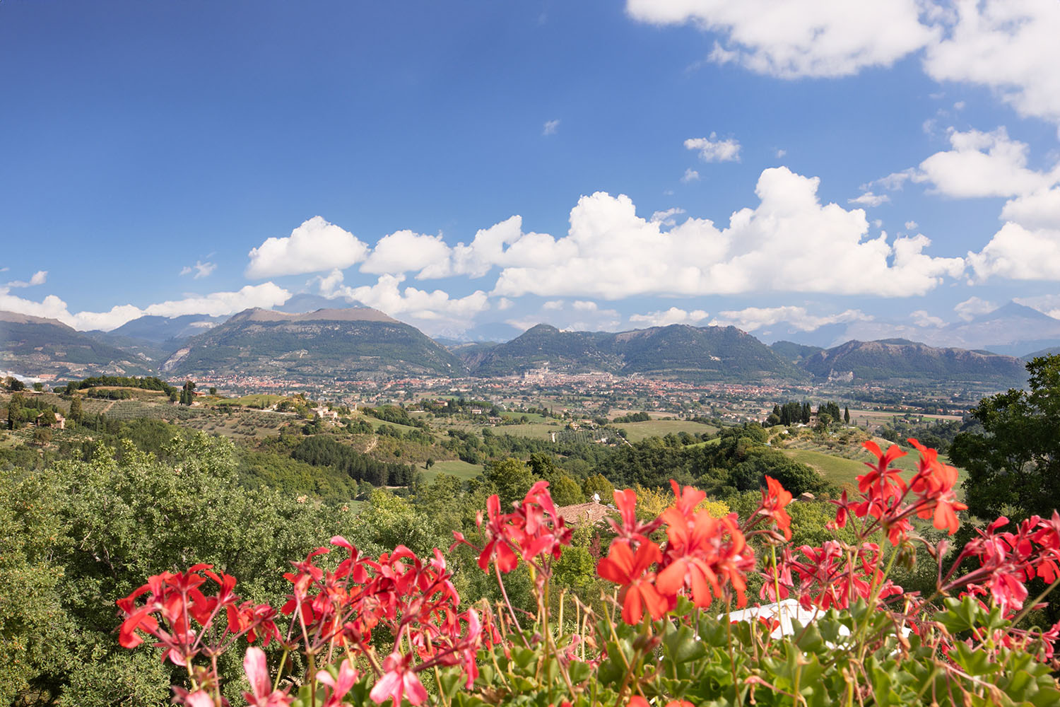img_about_casalta_è
